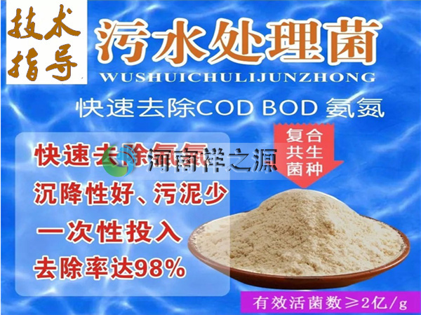 ���N